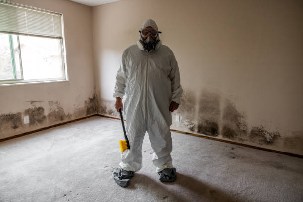 Best Professional Mold Removal  in Decherd, TN